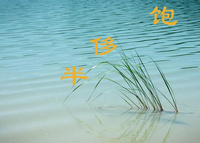 验证码识别,文字识别,语音识别,图像识别