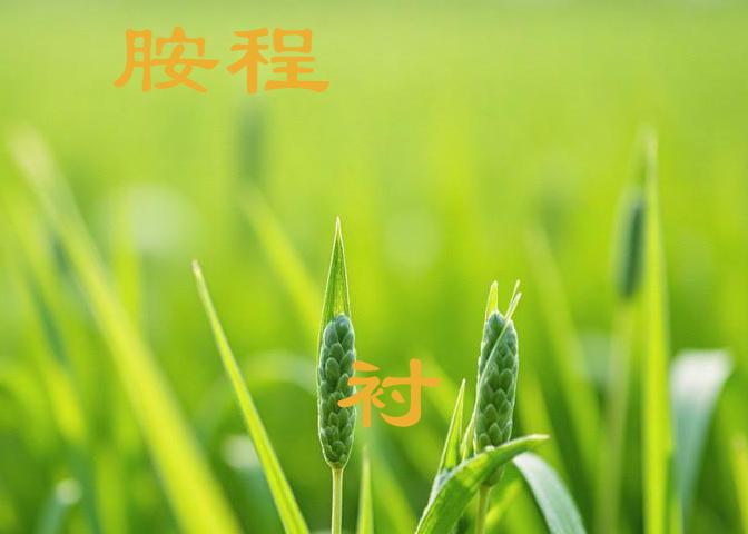 验证码识别,文字识别,语音识别,图像识别